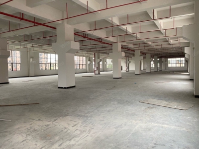 (出售) 东莞凤岗M1工改工厂房出售，50年独立红本，首付三成，贷款十年。图4