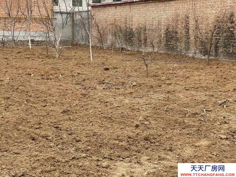 保定 容城  固城固德引线旁边，东邻107，西邻辛木高速