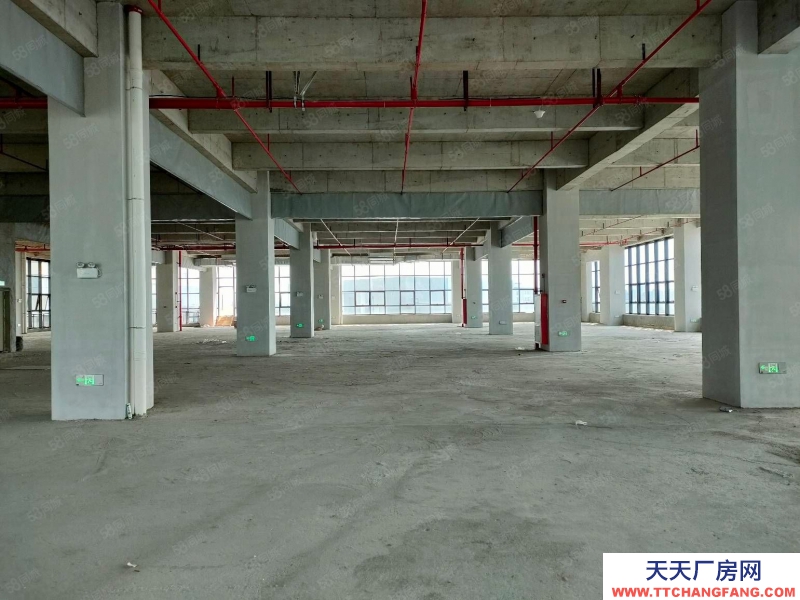 (出售) 东莞道滘红本厂房出售标准层2000平800平起售50年产权