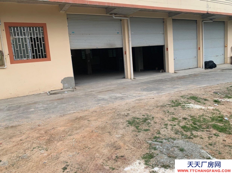 南宁市西乡塘区(出租) 自建楼房一楼300平方厂房仓库出租