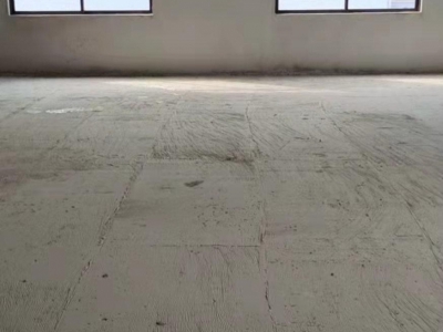 南宁市西乡塘区(出租) 都龙科技园标准厂房出租图1