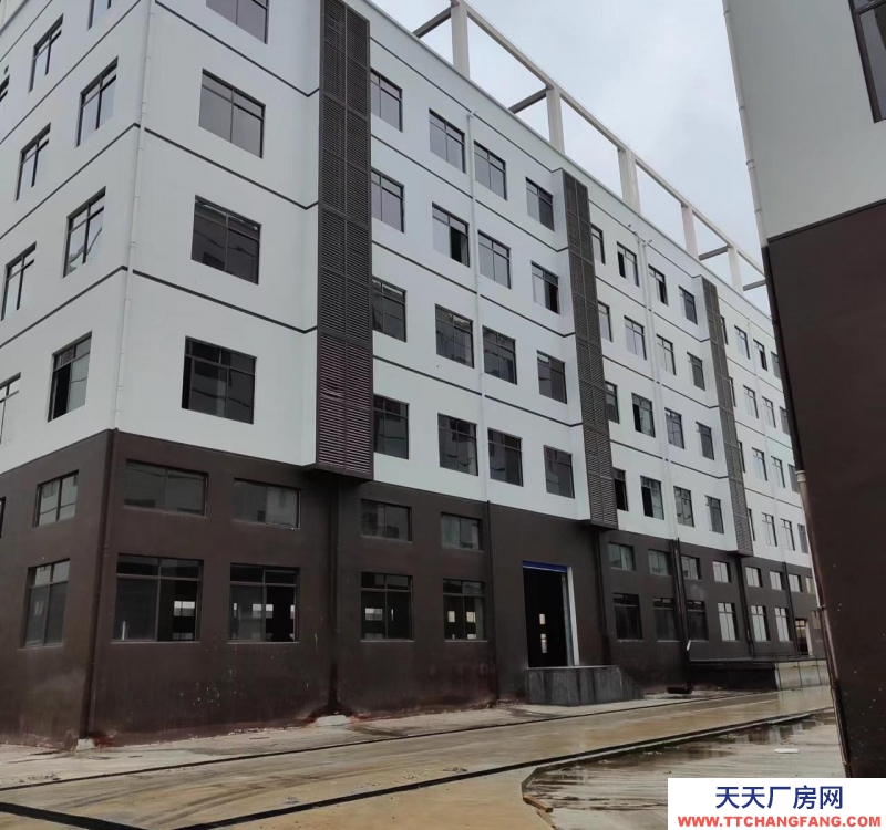 南宁市西乡塘区(出租) 标准厂房，每平方承重1.5吨，双电梯5吨
