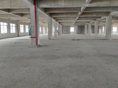 南宁市西乡塘区(出租) 标准厂房，每平方承重1.5吨，双电梯5吨图2
