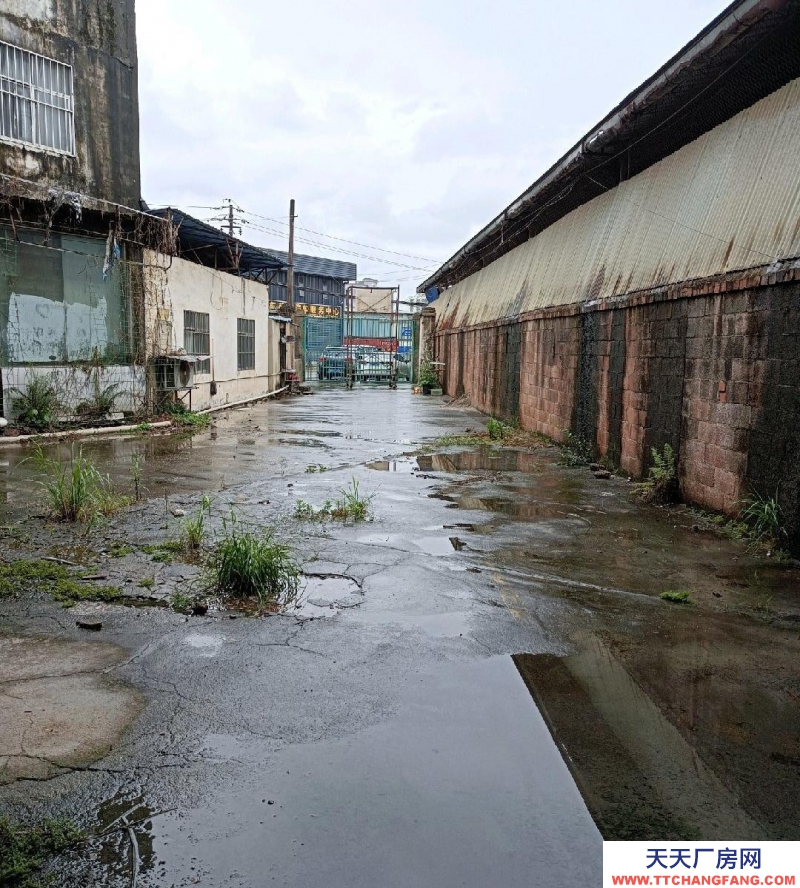 南宁市西乡塘区(出租) 安吉厂房出租地铁口18元/平可办证营业或当仓库3935228
