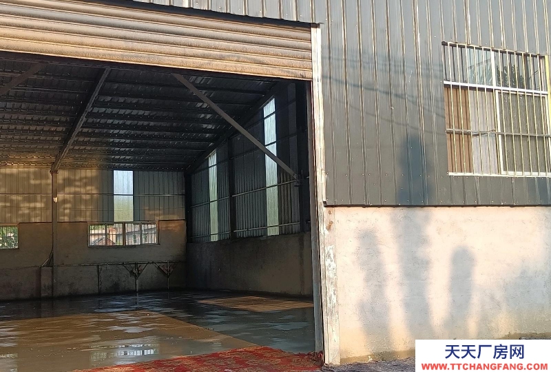 枣庄台儿庄交通便利新厂房，地理位置优越