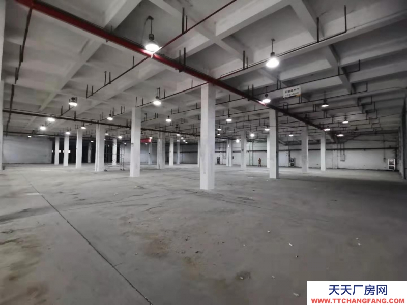 (出租) 蚌埠淮上徽商物流园有仓库对外出租，有月台，适用于仓储、快递快运分拨