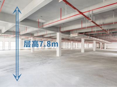 (出售) 东莞临港经济带，世界13强开发，厂房单价4500元起，低税收图1