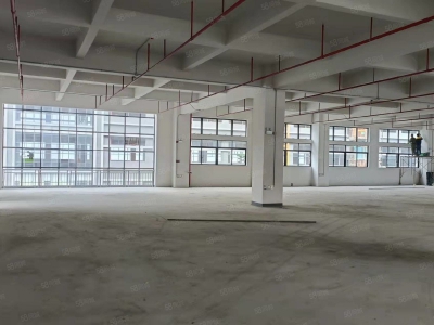 (出售) 东莞低价出售石排镇新出全新标准厂房1000平方起售，无税收要求图3