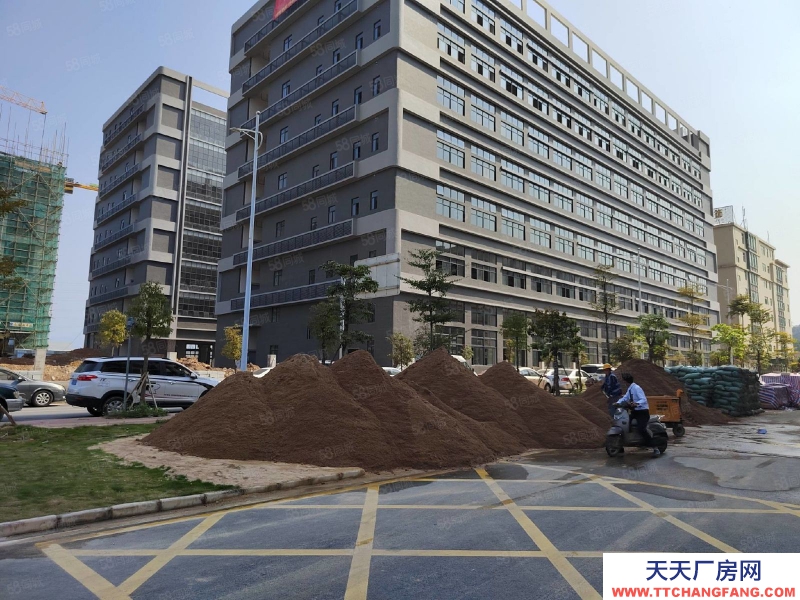(出售) 东莞低价出售石排镇新出全新标准厂房1000平方起售，无税收要求