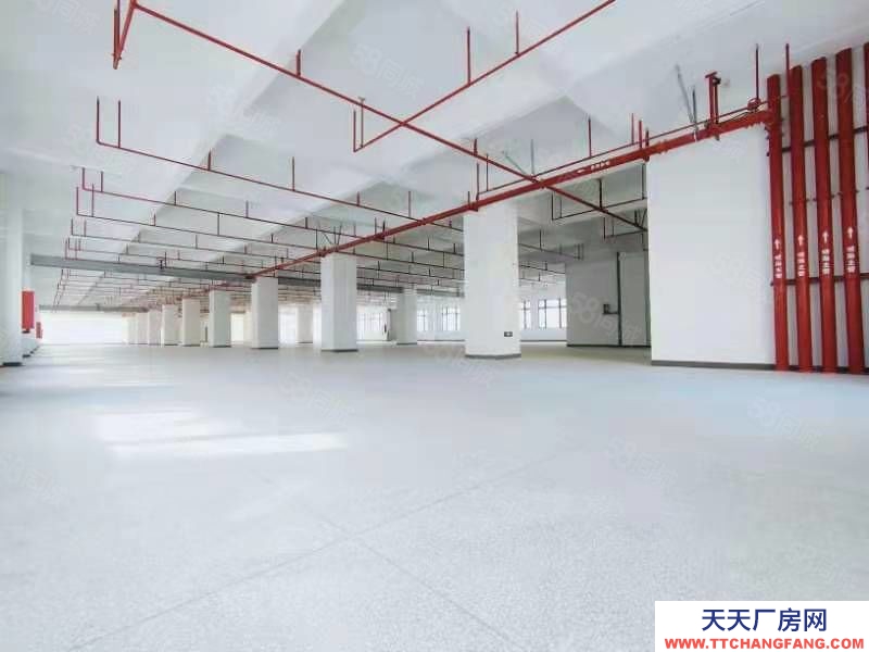 (出租) 东莞凤岗4000平方米红本全新电商仓库出租）带卸货平台6部货梯