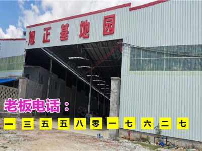 (出租) 低价急租，石埠奶场旁300一4500平厂房仓库，生产车间图1