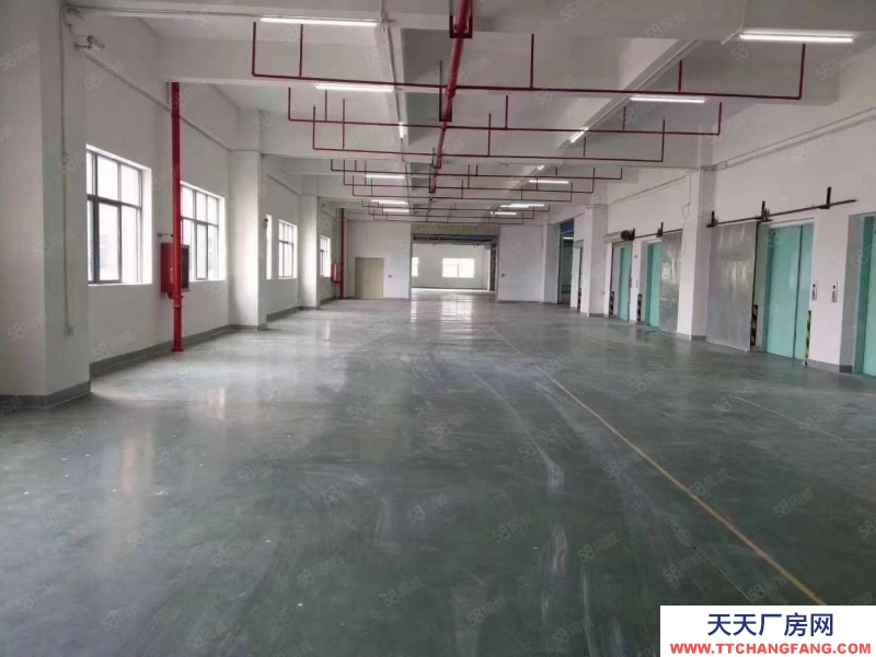 (出租) 东莞凤岗新出3000平方米楼上仓库出租）适合物流，电商，仓储