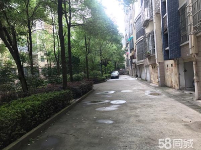 株洲市天元区珠江南路珠江丽园内5栋下车库出租图1