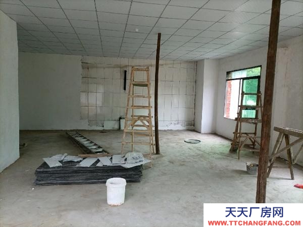 株洲市天元区可整租可分租！另有单间住房出租！