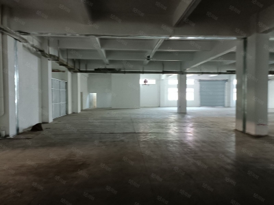 (出租) 东莞麻涌大型仓物流仓储公寓宿舍厨房证件齐全厂房出租低价出租图4