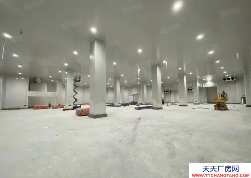 (出租) 东莞麻涌高标冷仓可长租可短租