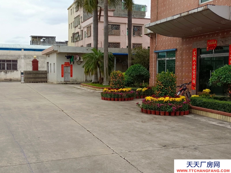 (出租) 东莞谢岗镇粤海产业园附近仓库直租，大小面积可分！
