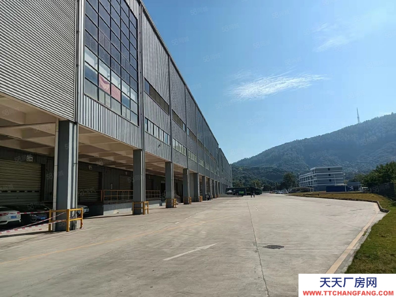 (出租) 东莞市区周边高标仓库2万平，双边卸货平台。