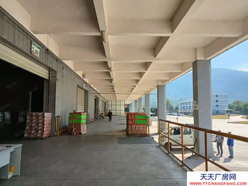 (出租) 东莞市区周边高标仓库2万平，双边卸货平台。