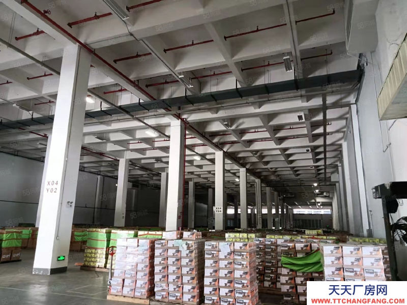 (出租) 东莞市区周边高标仓库2万平，双边卸货平台。
