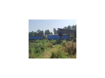 (出租) 厂地大，厂房多以前是养殖的，可办养殖图2