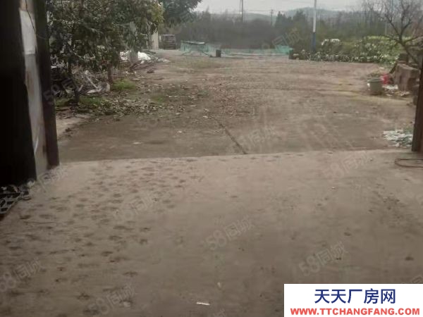 株洲市荷塘区大道株浏路口房东自建厂房仓库优价出租