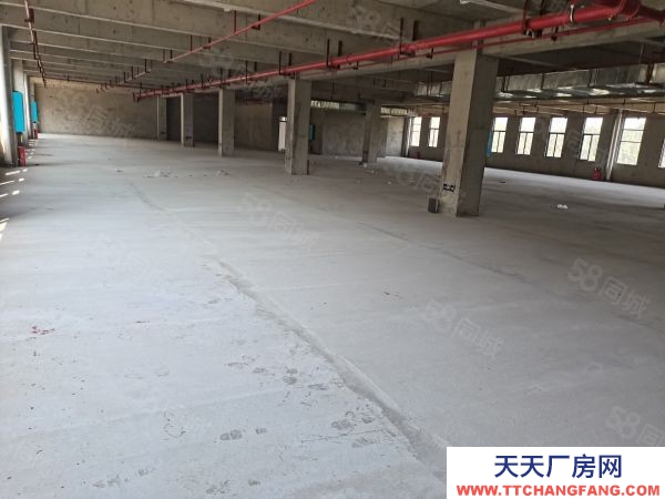 株洲市荷塘区大型工业园出租，免租一年不要钱
