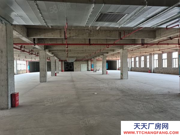 株洲市荷塘区大型工业园出租，免租一年不要钱