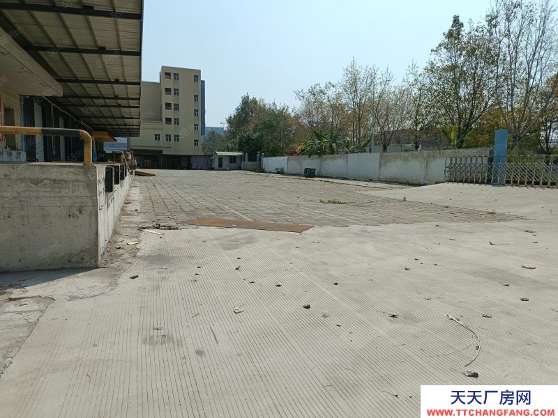 (出租) 东莞原房东高速路口港口麻涌新沙港附近仓库低价厂房出租