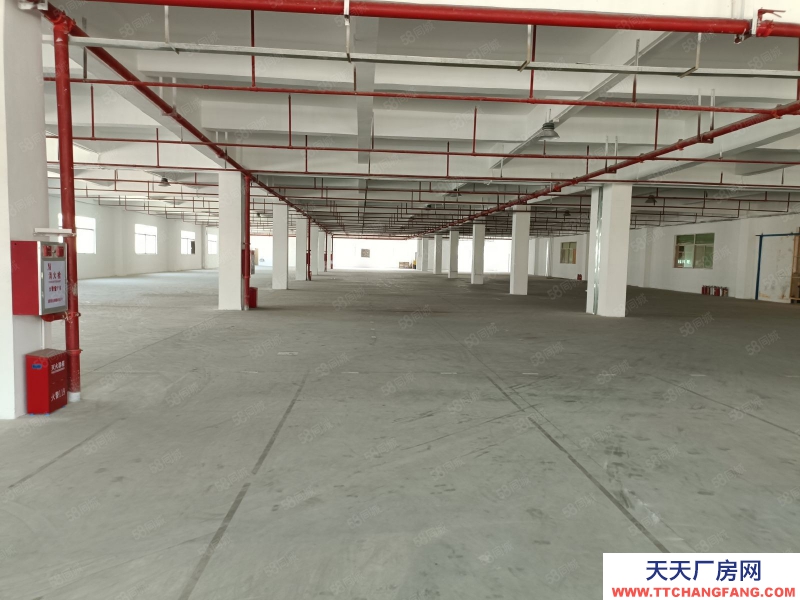 (出租) 东莞原房东高速路口港口麻涌新沙港附近仓库低价厂房出租