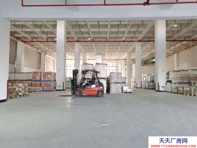 (出租) 东莞寮步高速出口附近新出标准物流仓库20000平方可以分组带卸货