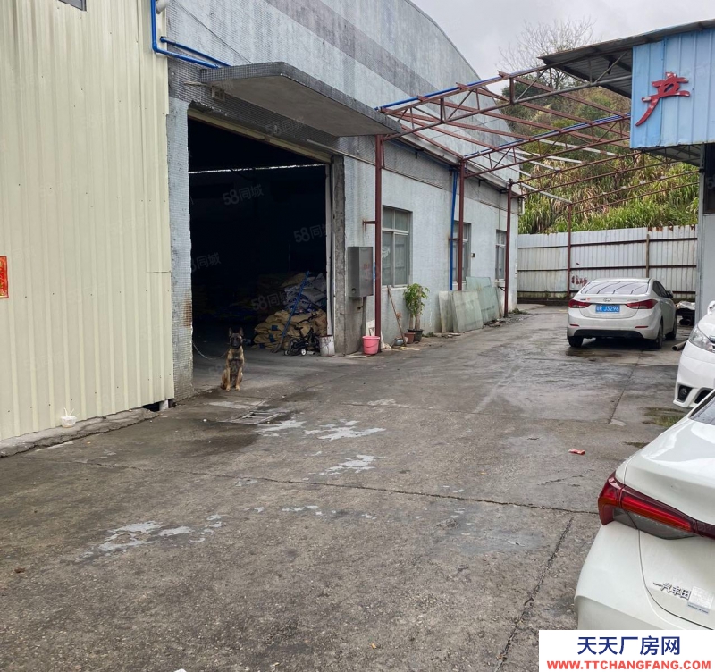 (出租) 广州花都赤坭镇砖墙到顶单一层2220方厂房仓库出租可进17米大车
