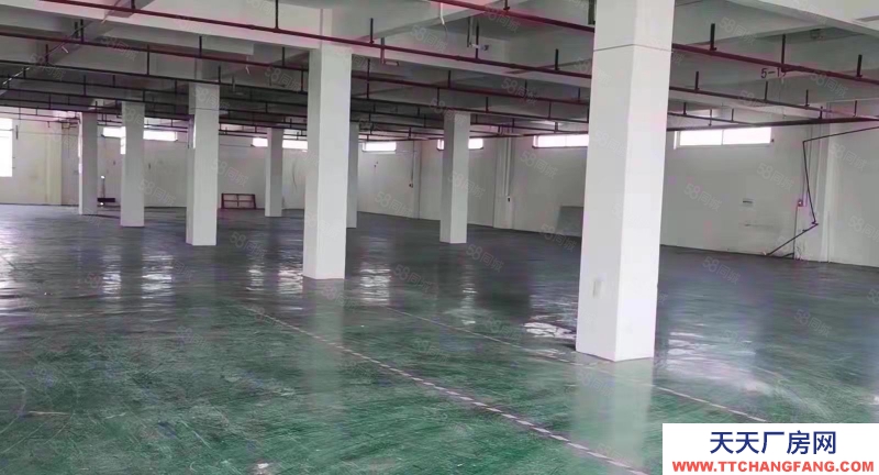 (出租) 广州花都华严寺对面，随时看，价格美丽，周边配套完善