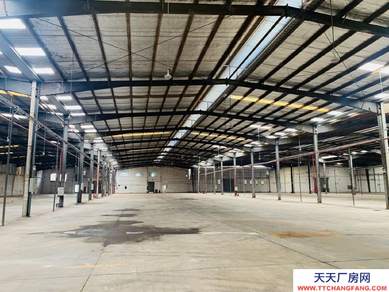 (出租) 广州南沙大岗11米高钢结构只要17元，证件齐全，环评秒过