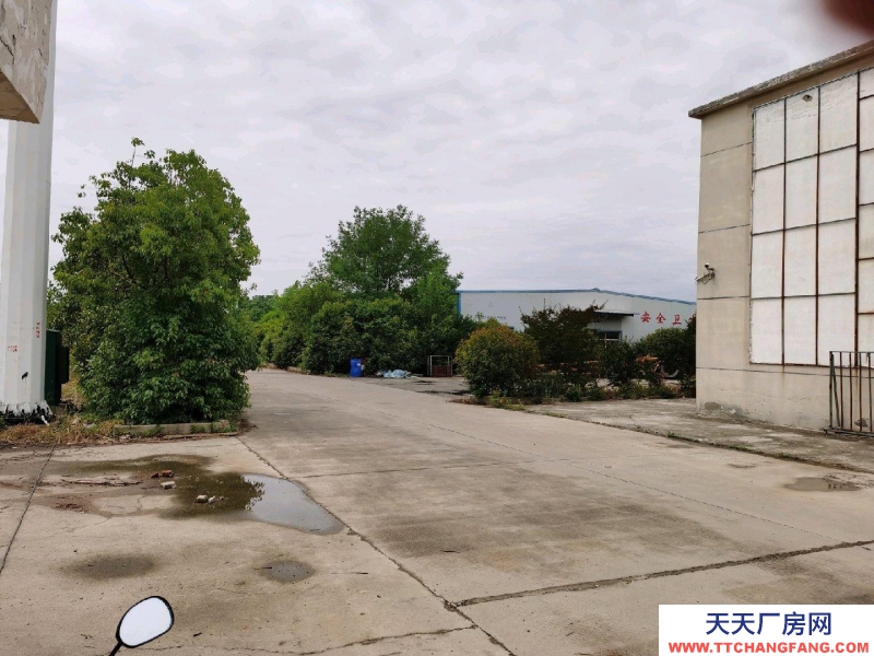 (出租) 蚌埠五河独立厂房，环境优，低价急租，水，电，路，三通