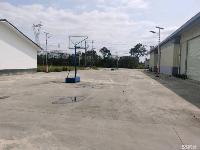 (出租) 南宁市西乡塘区环境优美的厂房/仓库招租图3