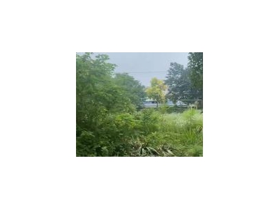 (出售) 荆州沙市沙岑路厂房 18.2亩 4000平钢混厂房办公楼 有行吊图1