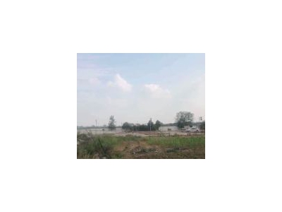 (出售) 荆州沙市厂房 办公楼 钢构 未修规划 场地 宿舍 配套应有尽有图4