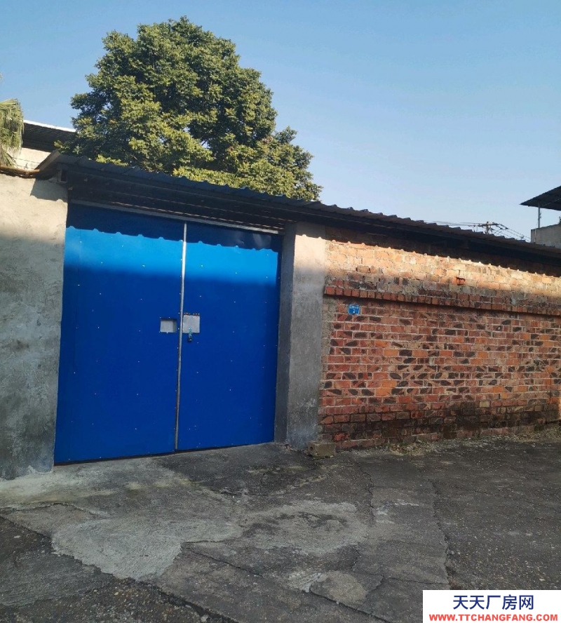(出租)南宁市西乡塘区美丽南方附近，交通方便，房屋宽敞，水电齐全