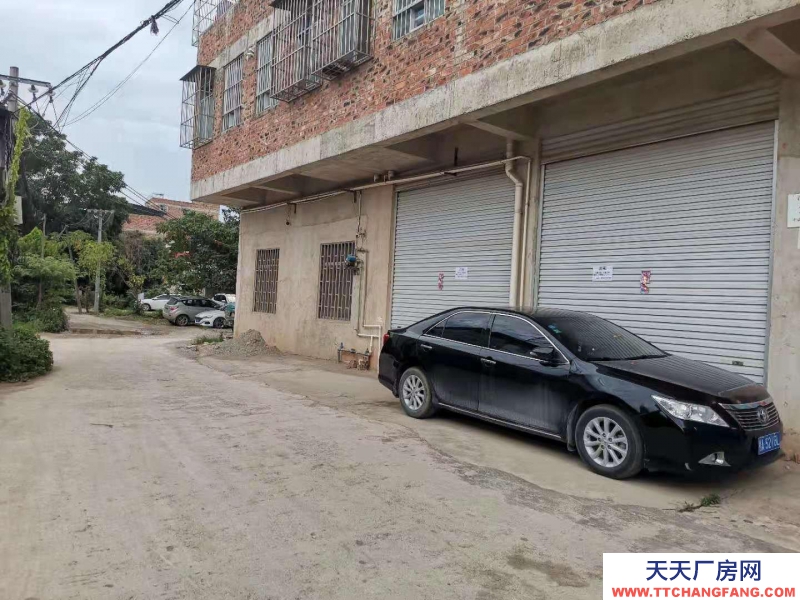 (出租)南宁市西乡塘区仓库、厂房、铺面（175平米，大塘村西坡怡宝水厂附近）