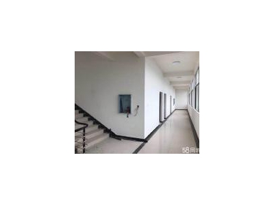 (出租) 荆州沙市全新厂房~水电齐全，安全门卫图4