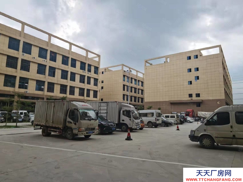 (出租)南宁市西乡塘区特惠！租金10元平，可做厂房仓库，可办公