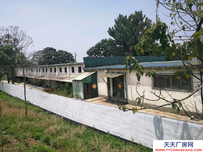 枣庄滕州上善公园 厂房 占地20亩，车间2000平。