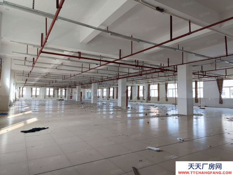 (出租) 广州番禺独院5600方花园式精装修厂房，形象好