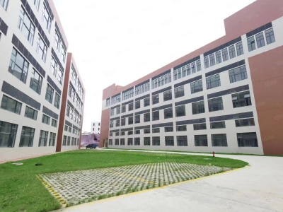 (出租) 广州南沙新建51800方园区，可办环评，资质齐全，丙二类消南沙防图1