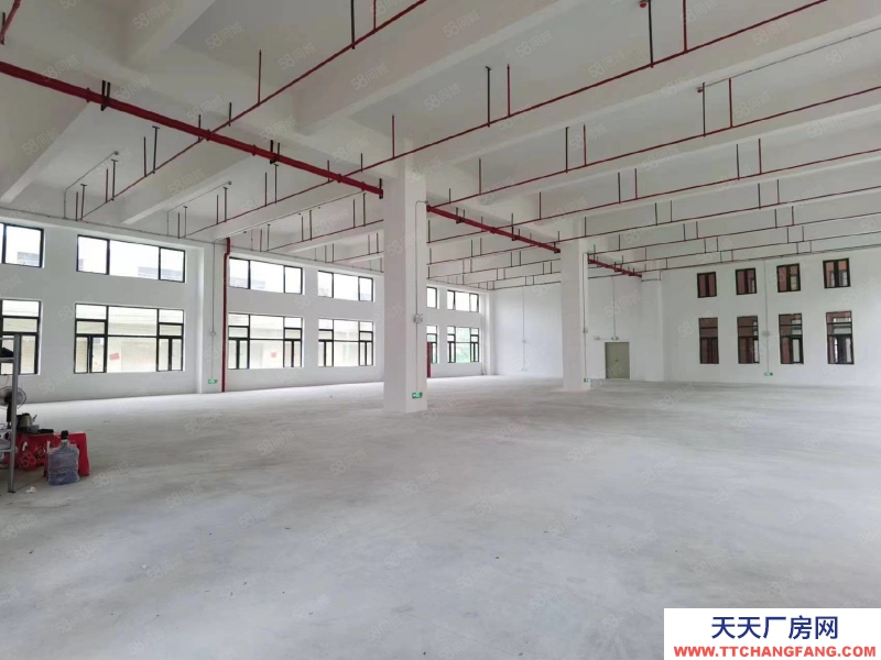 (出租) 广州南沙新建51800方园区，可办环评，资质齐全，丙二类消南沙防
