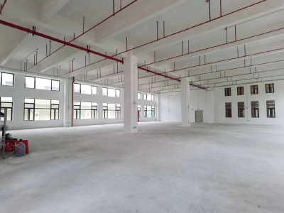 (出租) 广州南沙新建51800方园区，可办环评，资质齐全，丙二类消南沙防图2