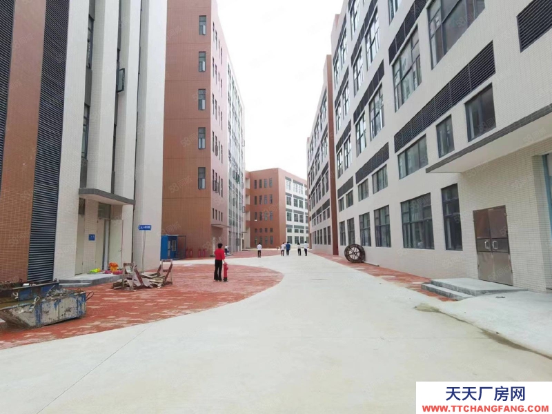 (出租) 广州南沙新建51800方园区，可办环评，资质齐全，丙二类消南沙防