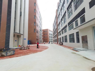 (出租) 广州南沙新建51800方园区，可办环评，资质齐全，丙二类消南沙防图3