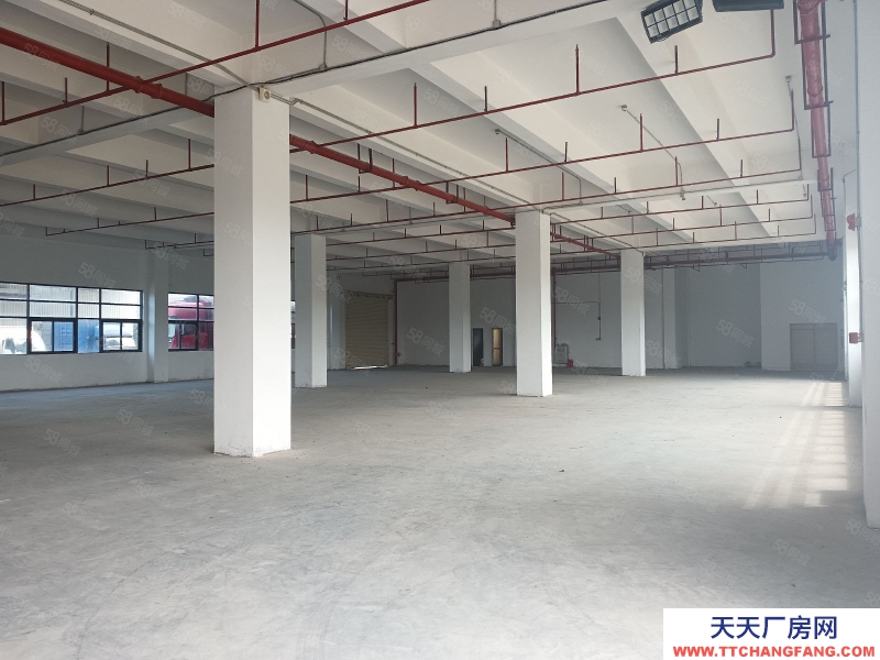 (出租) 广州 南沙湾标准厂房8000方可分租，价格优惠